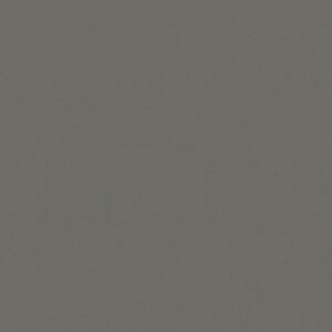 Gris Expo